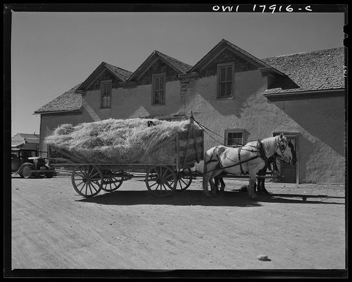 Questa, New Mexico. A load of hay