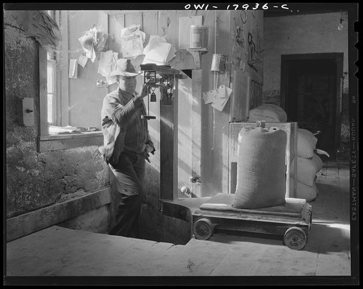 Untitled photo, possibly related to: Mora (vicinity), New Mexico. The operator of a flour mill driven by water and steam
