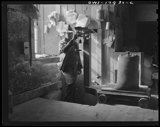 Mora (vicinity), New Mexico. The operator of a flour mill driven by water and steam