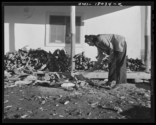 Untitled photo, possibly related to: Penasco, New Mexico. Marjorie Muller, Red Cross resident nurse at the clinic operated by the Taos County cooperative health association, does her own cooking, cuts her own wood, and draws her own water