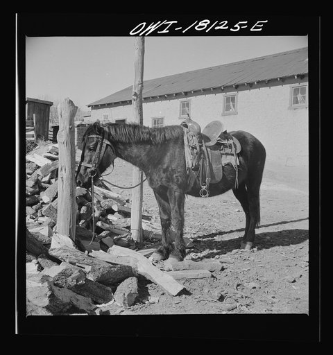 Questa, New Mexico. A hitching post outside the general store