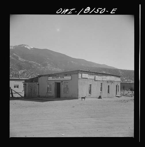 Questa, New Mexico. A general store