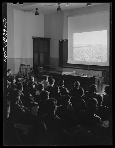 Madison, Wisconsin. Farm short course school at the University of Wisconsin. Students in a forage and small grains class attending a lecture on grasses
