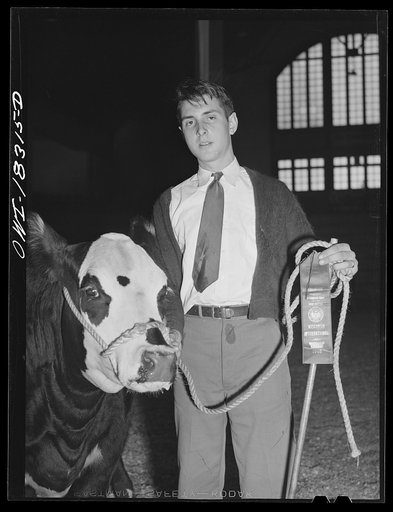 Madison, Wisconsin. Farm short course school at the University of Wisconsin. Clarence Conroy with his prize-winning heifer at the Wisconsin "Little International"