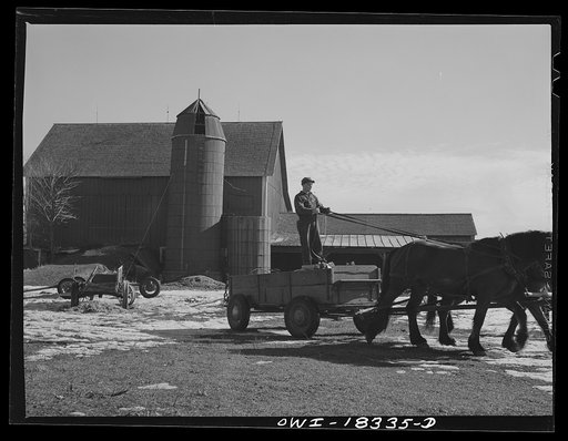 Untitled photo, possibly related to: Harvey G. Berthold on the Colby farm in Wisconsin where he was placed after finishing the farm short course at the University of Wisconsin