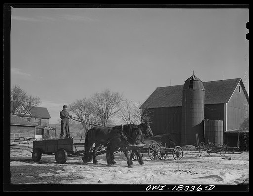 Harvey G. Berthold on the Colby farm in Wisconsin where he was placed after finishing the farm short course at the University of Wisconsin