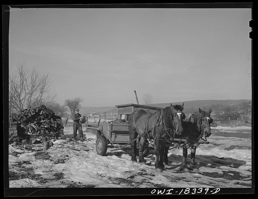 Harvey G. Berthold on the Colby farm in Wisconsin where he was placed after finishing the farm short course at the University of Wisconsin