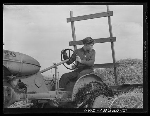 Untitled photo, possibly related to: Verona, Wisconsin. Loren Mead, sixteen, from Soyer County, Wisconsin, was placed on the Fleming farm after completing the farm short course, at the University of Wisconsin and can do only light work for which he gets thirty-five dollars per month. He comes from a