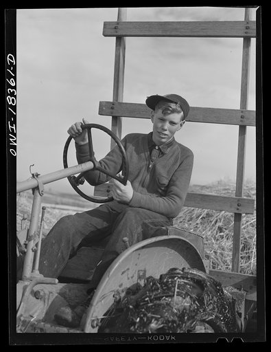 Verona, Wisconsin. Loren Mead, sixteen, from Soyer County, Wisconsin, was placed on the Fleming farm after completing the farm short course, at the University of Wisconsin and can do only light work for which he gets thirty-five dollars per month. He comes from a 160-acre farm which is nearly all wo