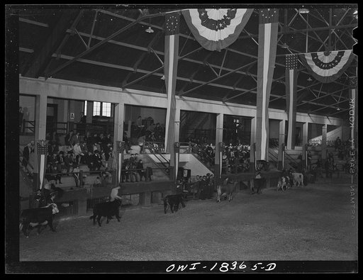 Untitled photo, possibly related to: Madison, Wisconsin. Farm short course school at the University of Wisconsin. A horse act which was part of the entertainment at the Wisconsin "Little International"