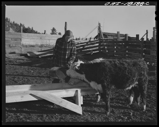 Untitled photo, possibly related to: Moreno Valley, Colfax County, New Mexico. The George Mutz ranch