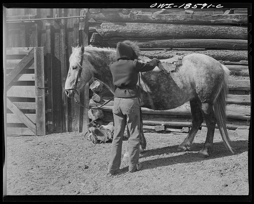Moreno Valley, Colfax County, New Mexico. The daughter of George Mutz, a second generation rancher, "saddling up"