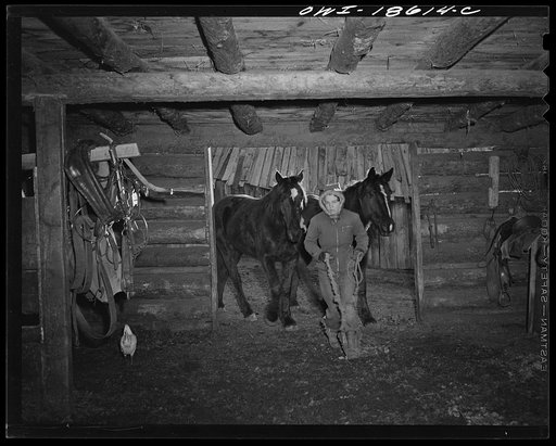 Moreno Valley, Colfax County, New Mexico. A rancher's daughter bringing in the team for oats on George Mutz's ranch