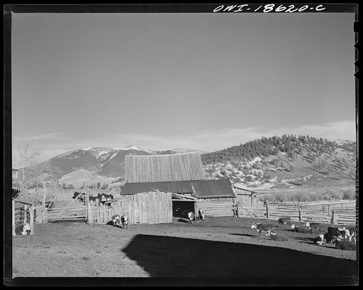 Moreno Valley, Colfax County, New Mexico. The George Mutz ranch