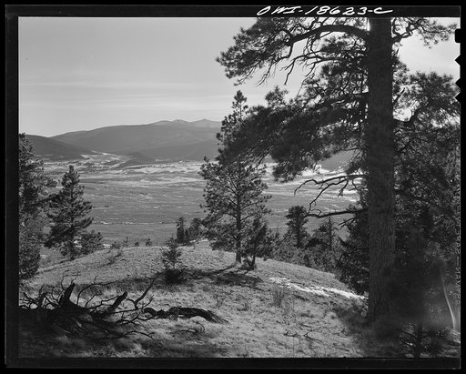 Moreno Valley, Colfax County, New Mexico