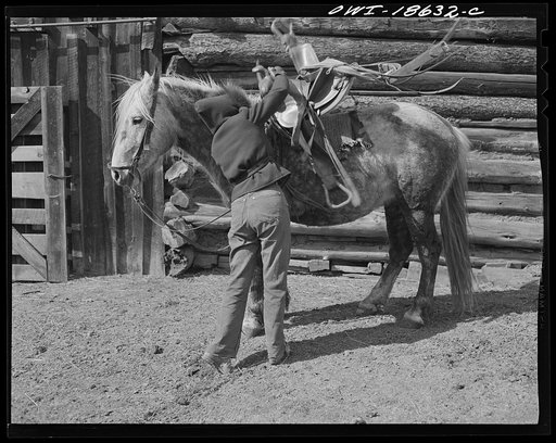 Moreno Valley, Colfax County, New Mexico. Daughter of George Mutz, a second generation cattleman, of Moreno Valley, "saddling up" to drive stock
