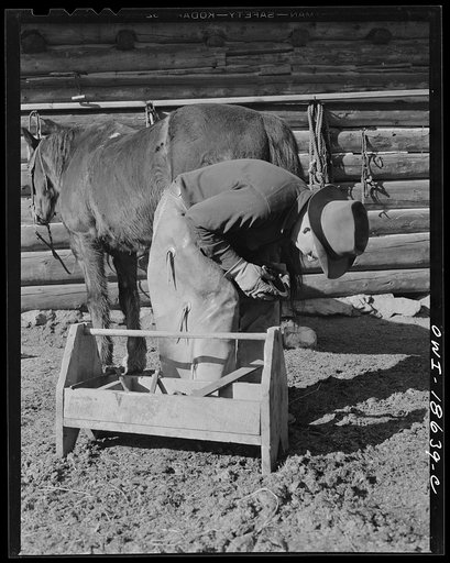 Untitled photo, possibly related to: Moreno Valley, Colfax County, New Mexico. William Heck, straightening and fitting a "cold-forged" horseshoe