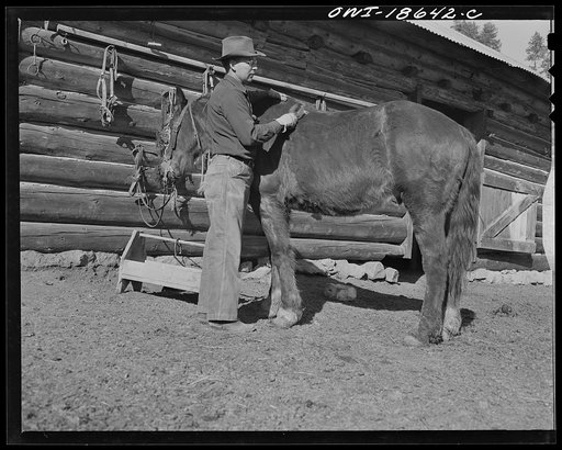 Untitled photo, possibly related to: Moreno Valley, Colfax County, New Mexico. William Heck, straightening and fitting a "cold-forged" horseshoe