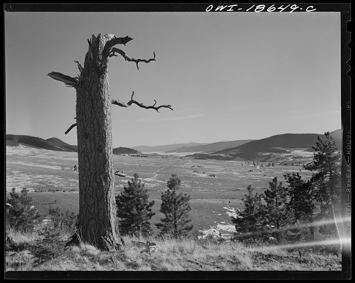 Moreno Valley, Colfax County, New Mexico