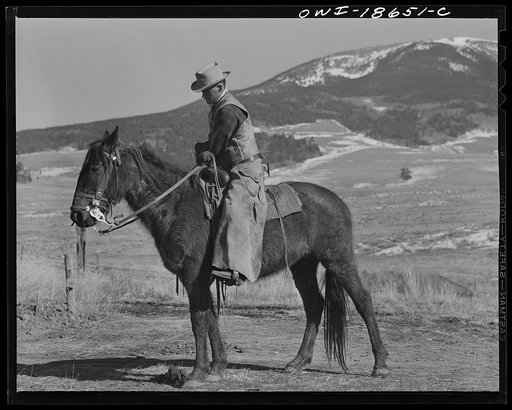 Moreno Valley, Colfax County, New Mexico. John Mutz, a cattleman
