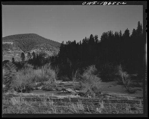 Moreno Valley, Colfax County, New Mexico. Canyon leading into the Moreno Valley