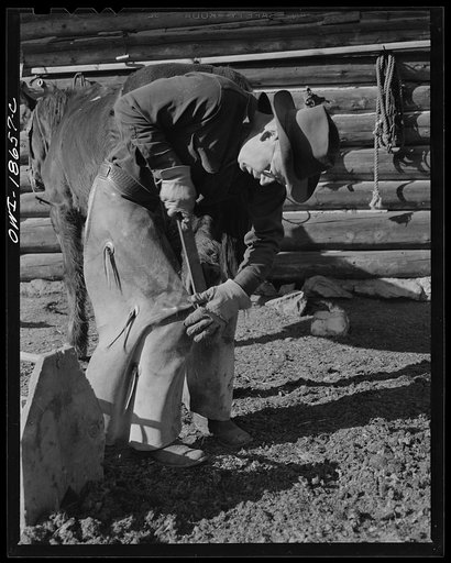 Moreno Valley, Colfax County, New Mexico. William Heck, a second generation rancher, shoeing a horse