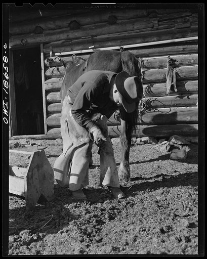 Untitled photo, possibly related to: Moreno Valley, Colfax County, New Mexico. William Heck, a second generation rancher, shoeing a horse