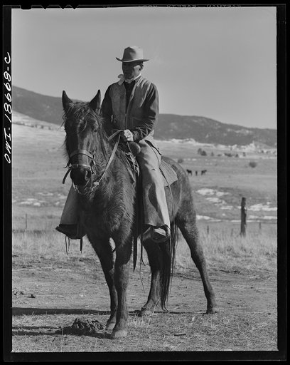 Moreno Valley, Colfax County, New Mexico. John Mutz, a cattleman