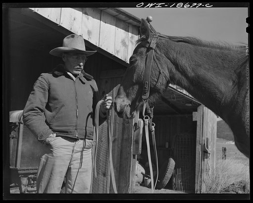 Moreno Valley, Colfax County, New Mexico. George Turner, cattleman, and his prize mount, an Arabian pony
