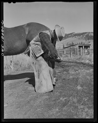 Untitled photo, possibly related to: Moreno Valley, Colfax County, New Mexico. John Mutz changing a shoe on George Turner's prize Arabian pony