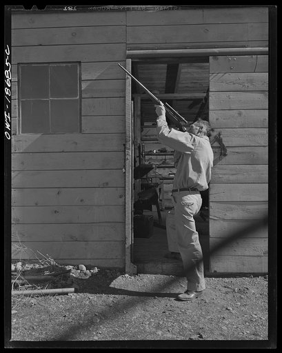 Moreno Valley, Colfax County, New Mexico. George Turner, a gunsmith as well as a cattleman, checking the bore of a rifle