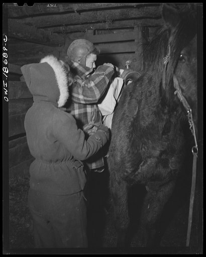 Untitled photo, possibly related to: Moreno Valley, Colfax County, New Mexico. The daughter of George Mutz, a second generation rancher, "saddling up"