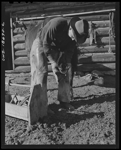 Moreno Valley, Colfax County, New Mexico. William Heck, rancher, shoeing a horse