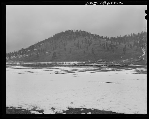 Moreno Valley, Colfax County, New Mexico. Cattle winter feeding on George Mutz's ranch