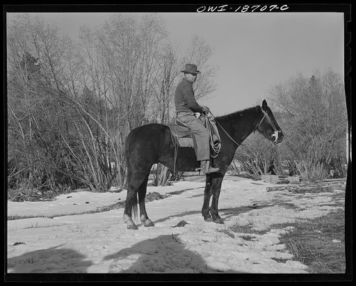 Moreno Valley, Colfax County, New Mexico. William Heck, a cattleman