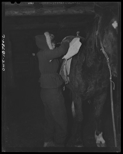 Untitled photo, possibly related to: Moreno Valley, Colfax County, New Mexico. The daughter of George Mutz, a second generation rancher, "saddling up"