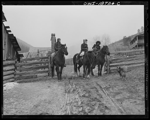Moreno Valley, Colfax County, New Mexico. The Mutz children on their way to school