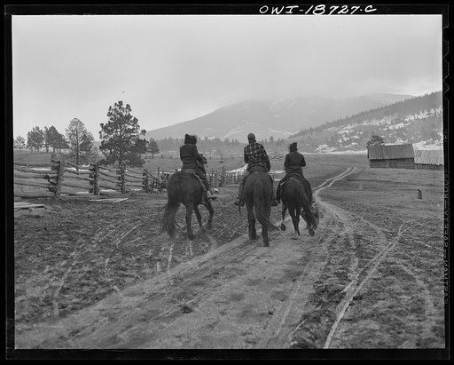Moreno Valley, Colfax County, New Mexico. The Mutz children on their way to school