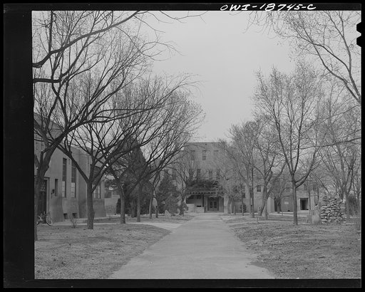 Albuquerque, New Mexico. The University of New Mexico