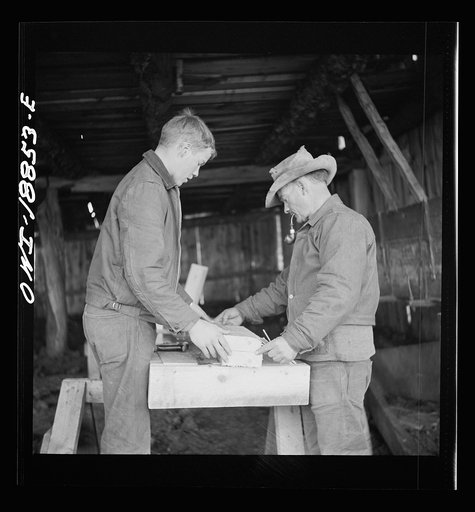 Moreno Valley, Colfax County, New Mexico. George Mutz and his son building a feed trough