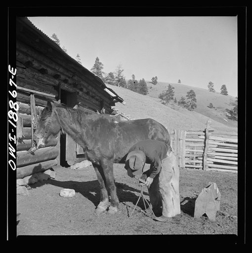Moreno Valley, Colfax County, New Mexico. William Heck trimming his horse's hoof