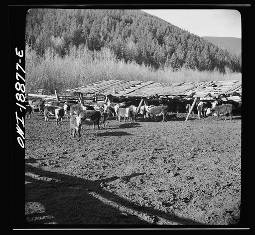 Moreno Valley, Colfax County, New Mexico. The Mutz ranch