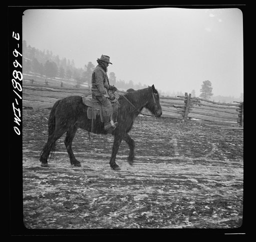 Moreno Valley, Colfax County, New Mexico. George Mutz starting out to work stock in a snowstorm