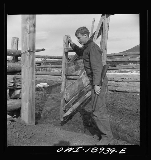 Moreno Valley, Colfax County, New Mexico. The older Mutz boy on his way to a coyote trap