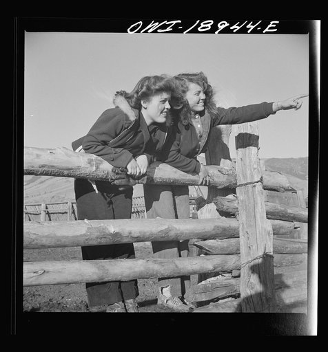 Moreno Valley, Colfax County, New Mexico. The Mutz girls looking over baby beef to pick out a prize calf to fatten as a 4-H club project