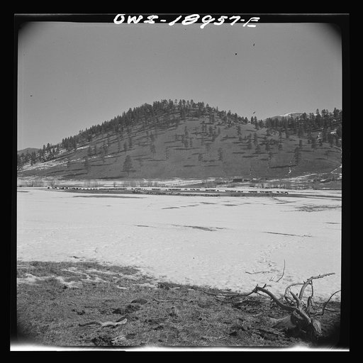 Untitled photo, possibly related to: Moreno Valley, Colfax County, New Mexico. Winter feeding on George Mutz's ranch