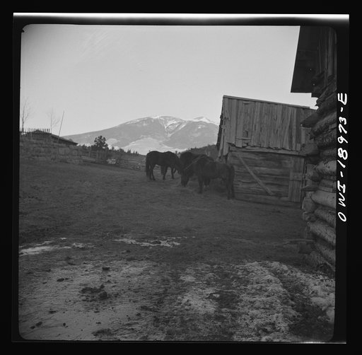 Untitled photo, possibly related to: Moreno Valley, Colfax County, New Mexico. A horse corral