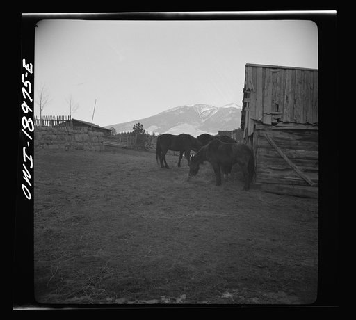 Untitled photo, possibly related to: Moreno Valley, Colfax County, New Mexico. A horse corral