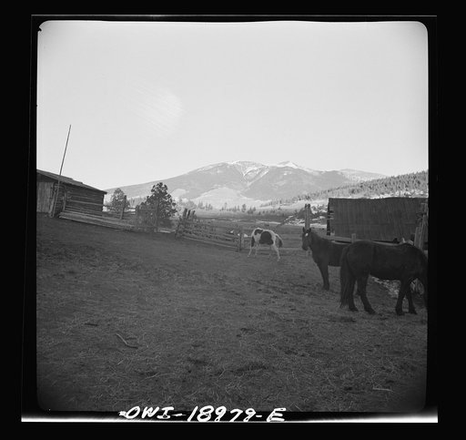 Untitled photo, possibly related to: Moreno Valley, Colfax County, New Mexico. Home corrals on the Mutz ranch
