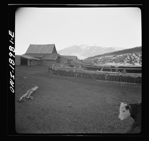 Untitled photo, possibly related to: Moreno Valley, Colfax County, New Mexico. Home corrals on the Mutz ranch